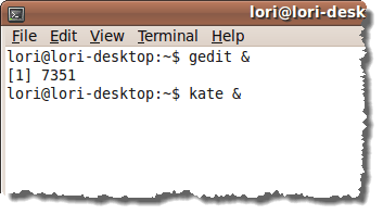 Command line available after running gedit