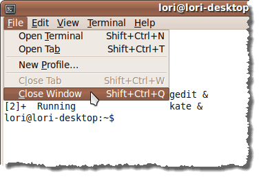 Closing the terminal window using the menu