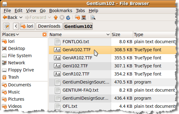 A dialog box displays showing you what the font looks like, and listing information about the font. Click the Install Font button.