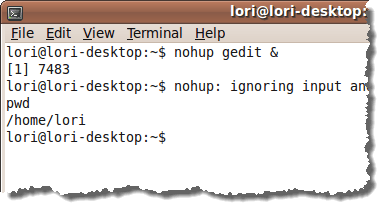 Command line available after using nohup command