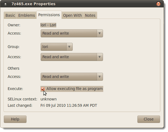 Turning on the Allow executing file as program check box