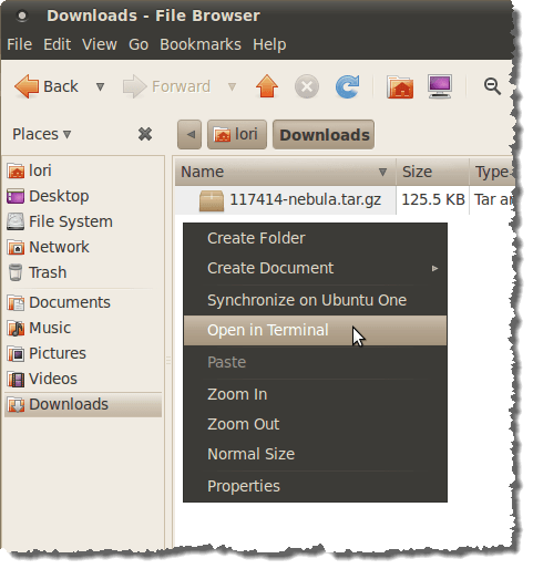 Open in Terminal option inside a folder