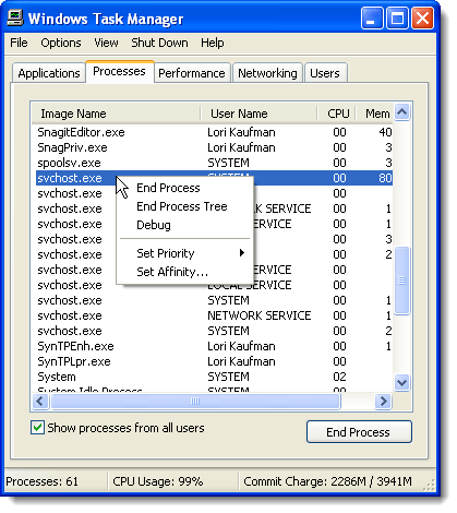 Task Manager in Windows XP with svchost.exe instances