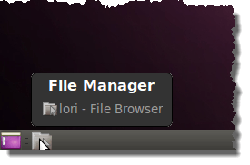 16_file_manager_pinned
