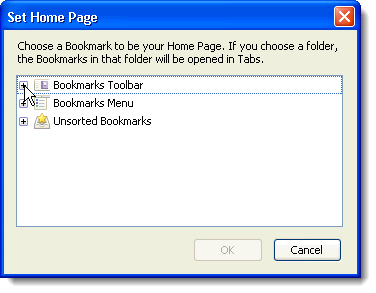 Set Home Page dialog box