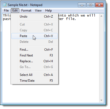 Pasting text into file