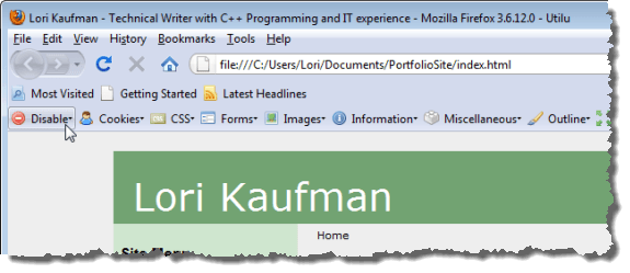 Web Developer toolbar