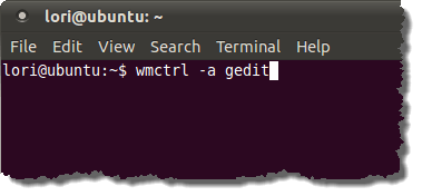Making the gedit window active