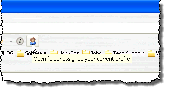The Open Profile Folder button on the toolbar
