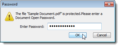 Entering the password to open the encrypted PDF file
