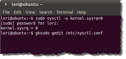 Opening the sysctl configuration file in gedit