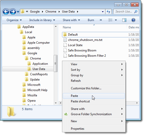 Pasting a copy of the Default profile folder