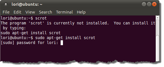 Entering the command to install scrot