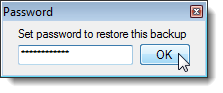Entering the password for the backup file