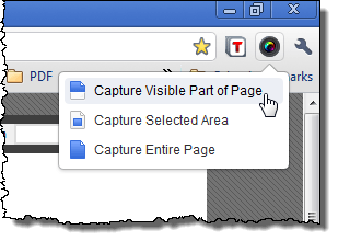 Selecting Capture Visible Part of Page