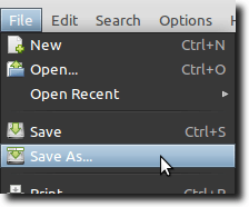 Save Script