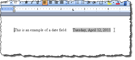 Example of field shading in Word 2003