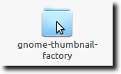 Open Gnome Thumbnail Factory Folder