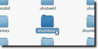Open Hidden Thumbnails Folder