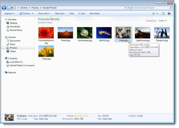 Details pane for an image file