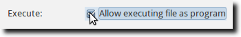 Execute as Program