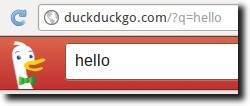 DuckDuckGo Example