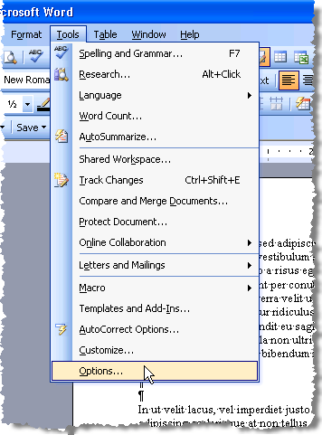 Opening Options in Word 2003
