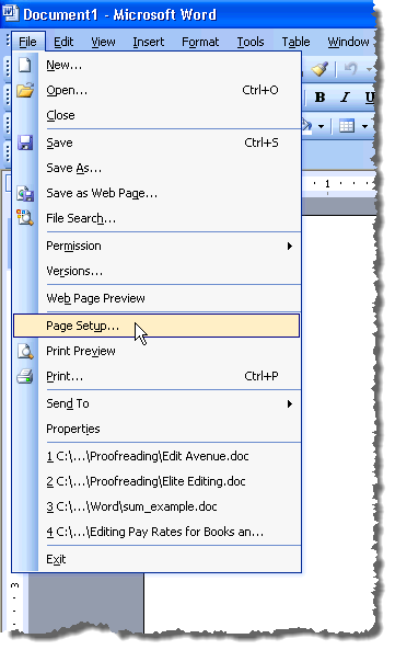 Selecting Page Setup in Word 2003
