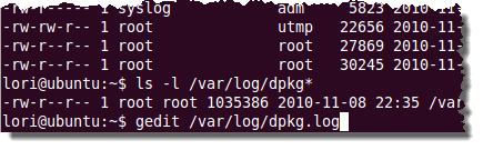 Opening the dpkg.log file