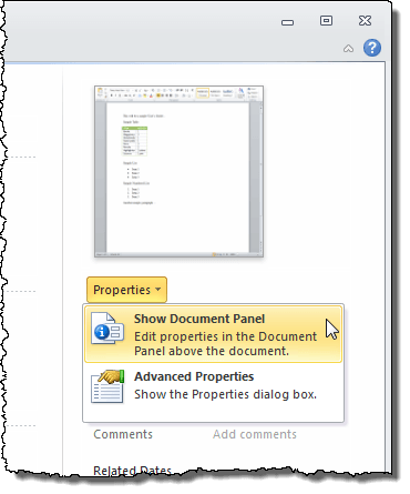 Showing the Document Panel in Word 2010