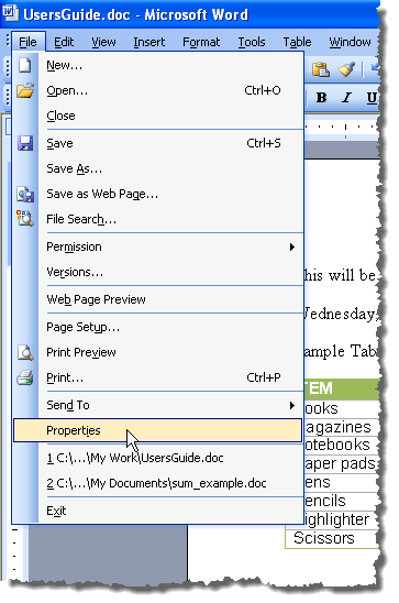 Selecting Properties from the Insert menu in Word 2003