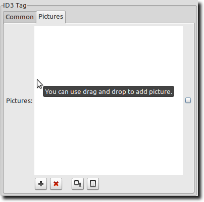 Picture Tag Pane
