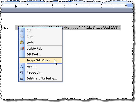 display codes in word