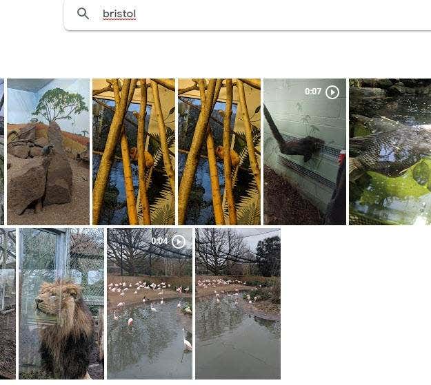 How To Use Powerful Photo Search Tools Available on Google Photos image 2