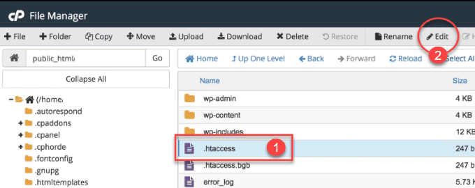 How To Speed Up Any WordPress Site Using  HTACCESS - 11