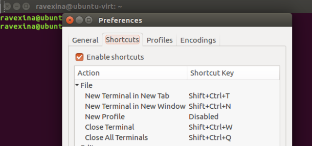 linux keyboard shortcut to open terminal