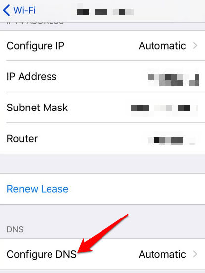 Block From Your Router or Using DNS