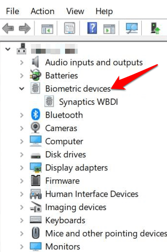 включить биометрические единицы оборудования в Windows 8