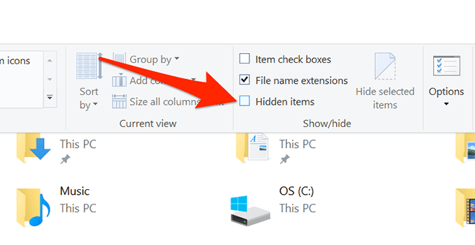 windows 10 show hidden files not working