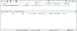 utorrent connecting to peers red bar