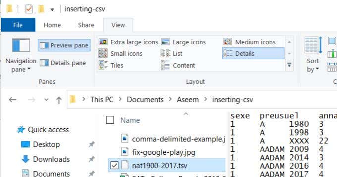 How To Insert CSV or TSV Into An Excel Worksheet image 2