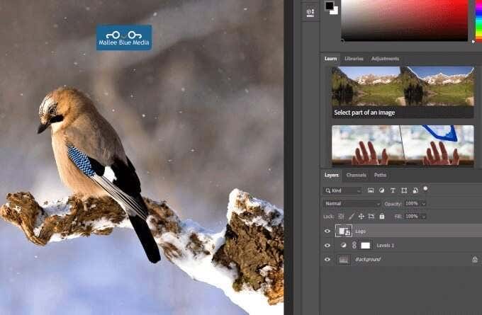How To Resize, Combine, & Merge Layers In Photoshop image 13
