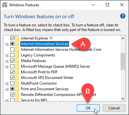 Install and Setup a Website in IIS on Windows 10 - 66