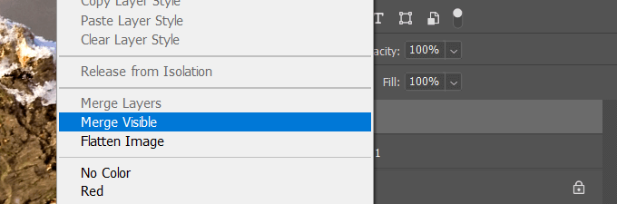 How To Resize  Combine    Merge Layers In Photoshop - 24