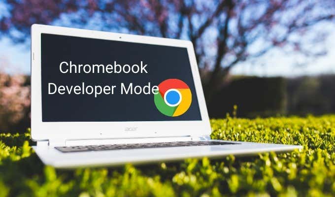 HDG Explains: What Is Chromebook Developer Mode & What Are Its Uses? image 3