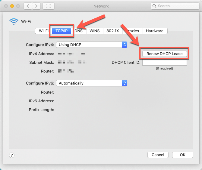 apple what is dhcp client id