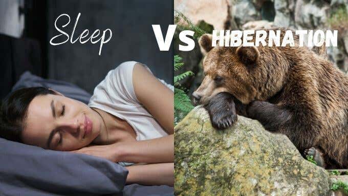 What Is the Difference Between Sleep and Hibernate in Windows 10  - 6