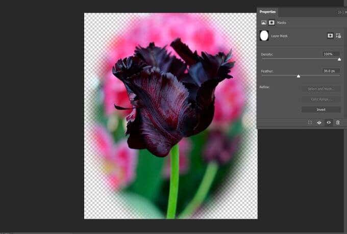 How to Feather and Blur in Photoshop - 70
