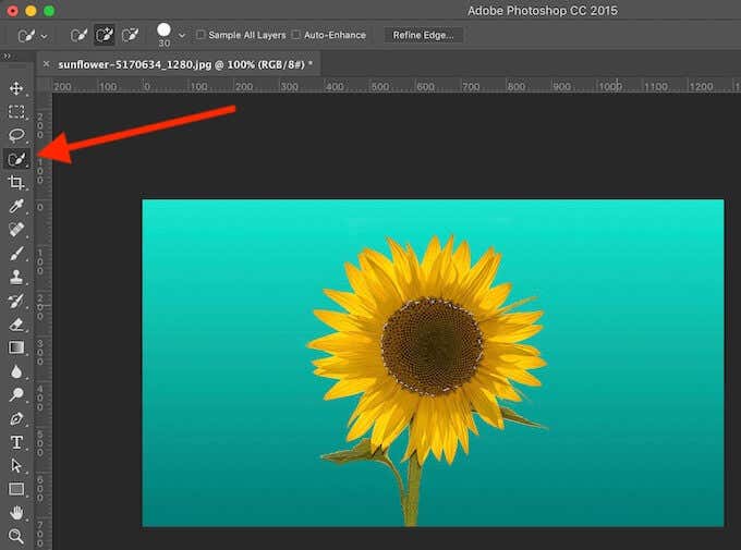 How to Replace Color in Photoshop image 6