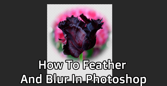 How to Feather and Blur in Photoshop image 1